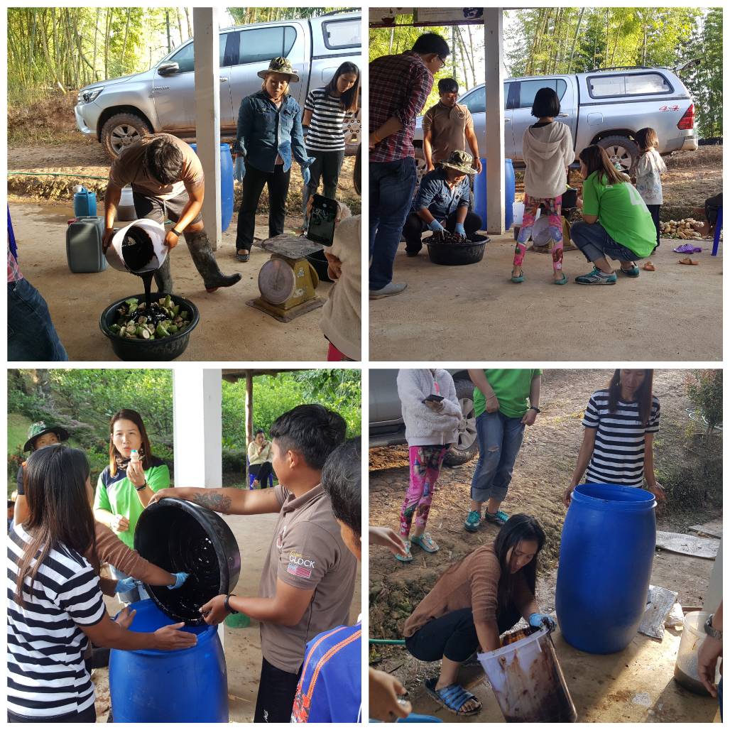 การทำน้ำหมักโบกาฉิ สำหรับพืชอินทรีย์