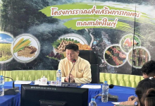 วันที่ 8 พฤศจิกายน 2566 นายศักดิ์สิทธิ์ ศรีวิชัย เกษตรจังหวัดน่าน เป็นประธานการประชุมเชิงปฏิบัติการโครงการ 1 อำเภอ 1 สินค้าเกษตรมูลค่าสูงฯ