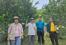 สำนักงานเกษตรจังหวัดน่าน ติดตามการดำเนินงานส่งเสริมการจัดการศัตรูพืชโดยวิธีผสมผสานและลดการใช้สารเคมีป้องกันกำจัดศัตรูพืช