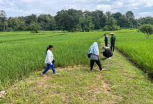สำนักงานเกษตรจังหวัดน่าน ลงพื้นที่เตรียมความพร้อมเกษตรกรในการตรวจประเมินแปลงสู่มาตรฐานอินทรีย์