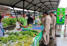 เกษตรจังหวัดน่าน ร่วมเยี่ยมชมและให้กำลังใจ ผู้ประกอบการ และเกษตรกร ที่เข้าร่วมจำหน่ายสินค้าใน "กาดม่วนเมือง ศาลากลาง"
