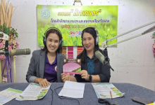สำนักงานเกษตรจังหวัดน่าน ประชาสัมพันธ์การป้องกันและกำจัดเพลี้ยกระโดดสีน้ำตาลและเพลี้ยกระโดดหลังขาวในนาข้าว