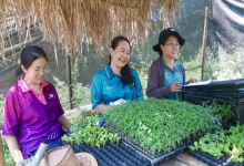 เกษตรจังหวัดน่าน เตรียมความพร้อมในการประกวดกลุ่มยุวเกษตรกร สมาชิกยุวเกษตรกร และที่ปรึกษายุวเกษตรกรดีเด่น ระดับเขต ประจำปี 2568 