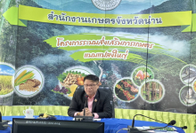 เกษตรจังหวัดน่าน ประชุมชี้แจงการจัดสรรงบประมาณรายจ่าย ประจำปีงบประมาณ พ.ศ. 2568 (โครงการตามตัวชี้วัด) ครั้งที่ 2