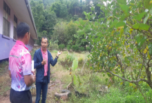 เกษตรจังหวัดน่าน ติดตามผลการดำเนินงานโครงการเกษตรเพื่ออาหารกลางวัน ประจำปี พ.ศ. 2568
