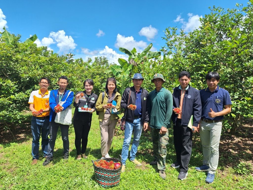เกษตรอำเภอทุ่งช้าง ร่วมกับ คณะเจ้าหน้าที่จากสำนักงานส่งเสริมและพัฒนาการเกษตรที่ ๖ เชียงใหม่ และ สำนักงานเกษตรจังหวัดน่าน ลงพื้นที่เยี่ยมเยียนแปลงเรียนรู้การผลิตไม้ผลอัตลักษณ์พื้นถิ่น : เงาะทุ่งช้าง และแปลงมันสำปะหลังพื้นที่ตำบลปอน