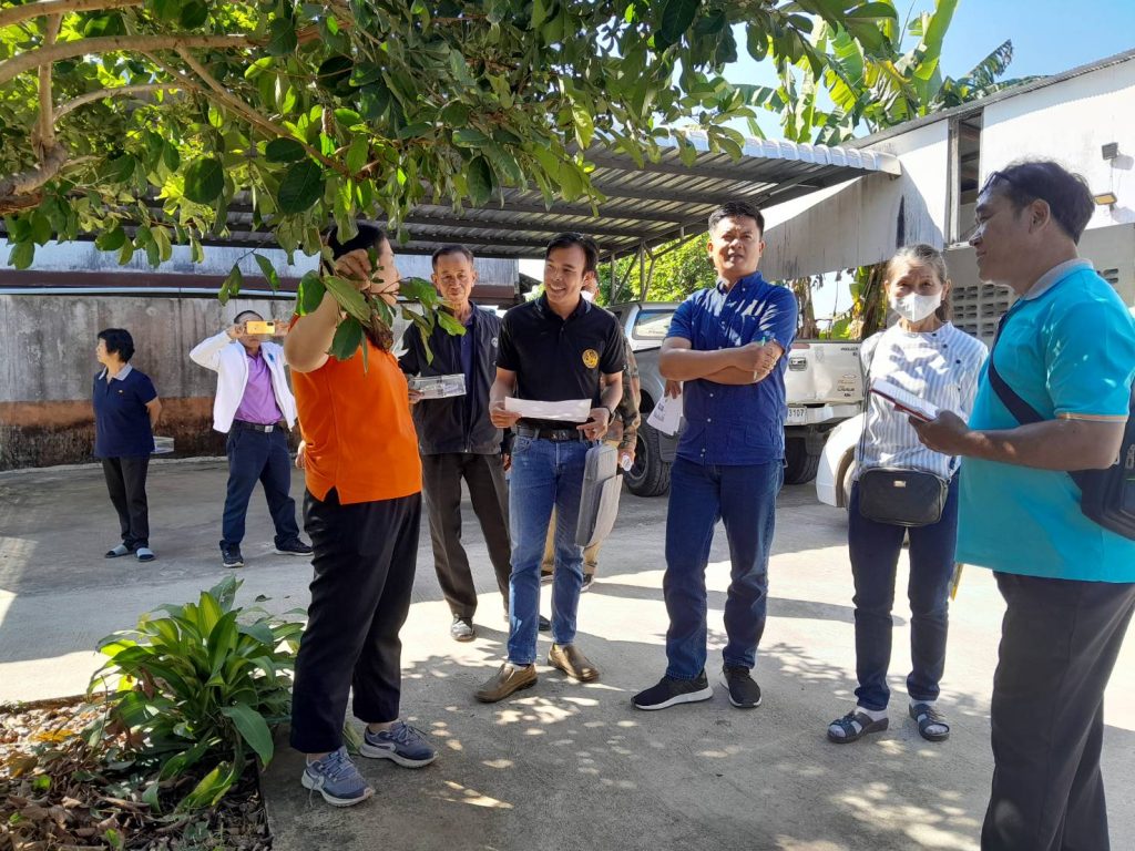 สำนักงานเกษตรอำเภอทุ่งช้าง นำเกษตรกรร่วมฝึกอบรม หลักสูตร ผู้สำรวจแปลงติดตามสถานการณ์ศัตรูพืช