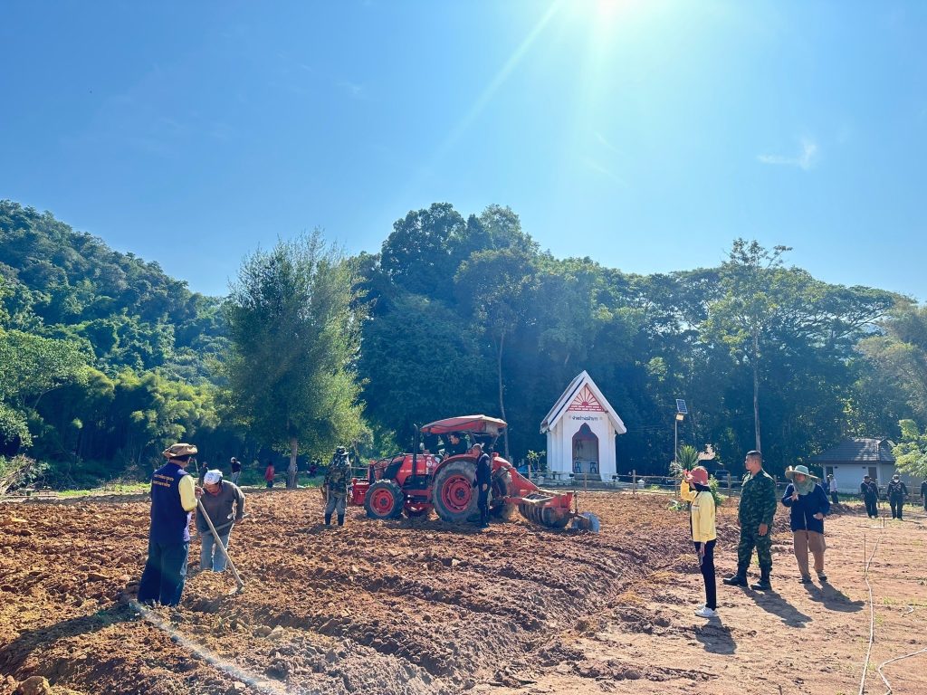 สำนักงานเกษตรอำเภอทุ่งช้าง ร่วมจัดเตรียมแปลงเพาะปลูกพืชผักของชุมชนบ้านป่าเปือยพร้อมดำเนินโครงการ “ทางนี้มีผล ผู้คนรักกัน”