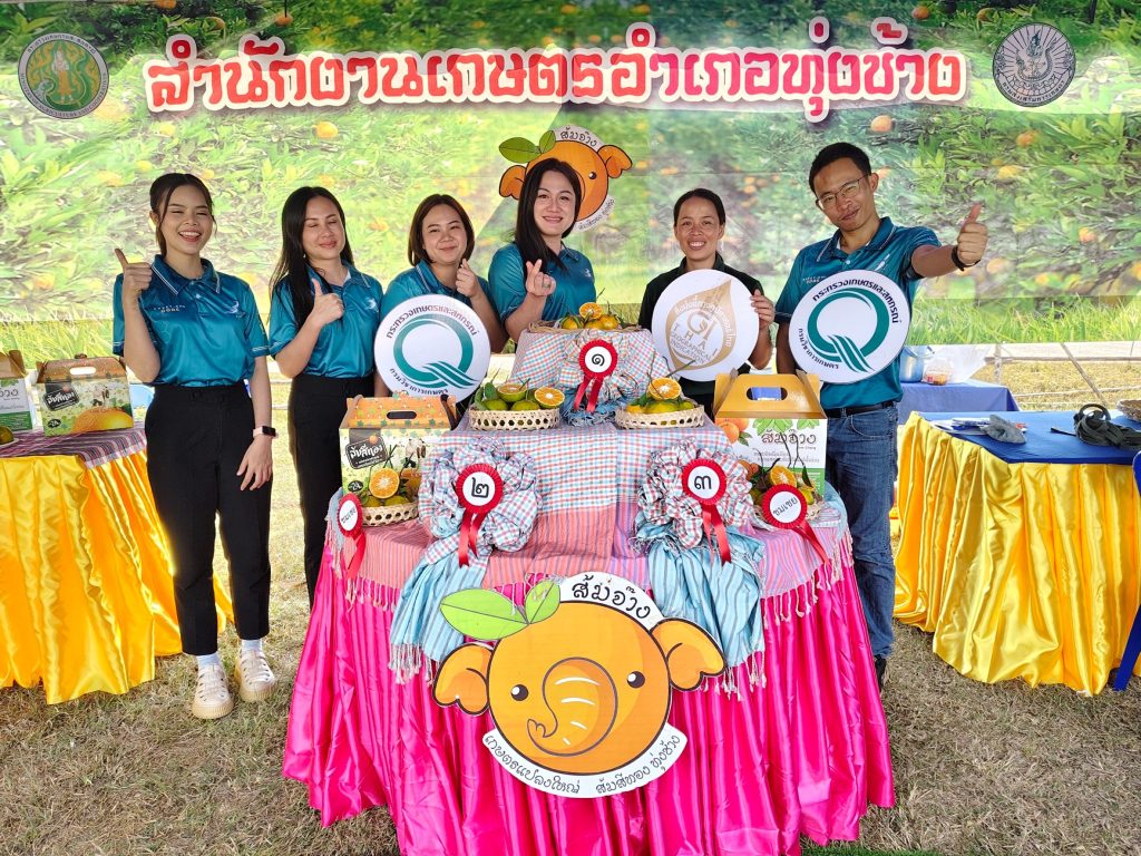 สำนักงานเกษตรอำเภอทุ่งช้าง จัดประกวดส้มสีทองทุ่งช้าง ประจำปี 2567 ภายในงาน “สืบสานวัฒนธรรมท้องถิ่น แดนดินส้มสีทอง อำเภอทุ่งช้าง จังหวัดน่าน ประจำปี 2567”