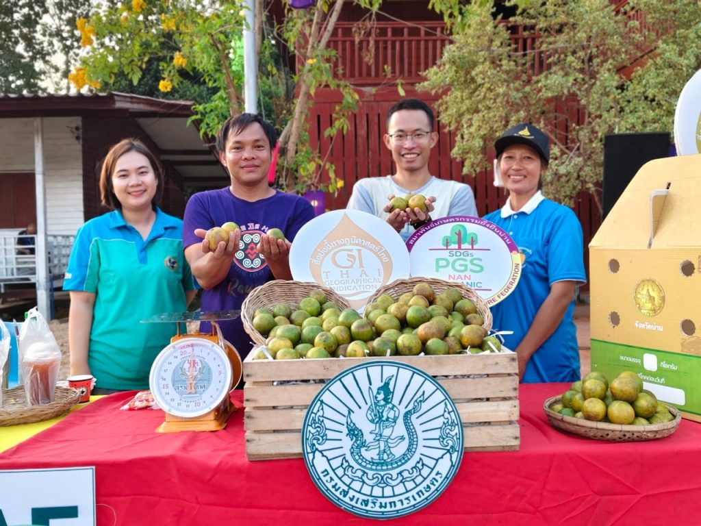 สำนักงานเกษตรอำเภอทุ่งช้าง ร่วมจัดงานแถลงข่าว “งานสืบสานวัฒนธรรมท้องถิ่น แดนดินส้มสีทองอำเภอทุ่งช้าง จังหวัดน่าน ประจำปี 2567” และเปิดกิจกรรม “กาดม่วนใจ๋ ถนนคนเดิน เพลินพุง ณ ทุ่งช้าง”