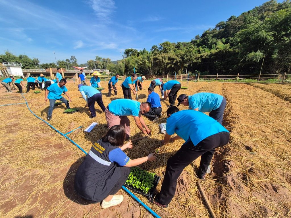 สำนักงานเกษตรอำเภอ ร่วมกิจกรรมปลูกพืชผักสวนครัว ส่งเสริมความมั่นคงทางอาหารและช่วยเหลือเกษตรกรผู้ประสบอุทกภัย